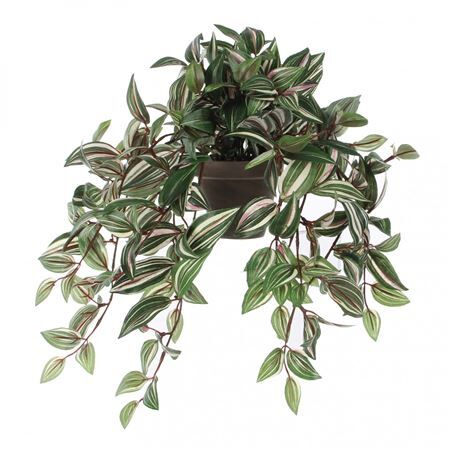 Pot Tradescantia d11/25*45cm