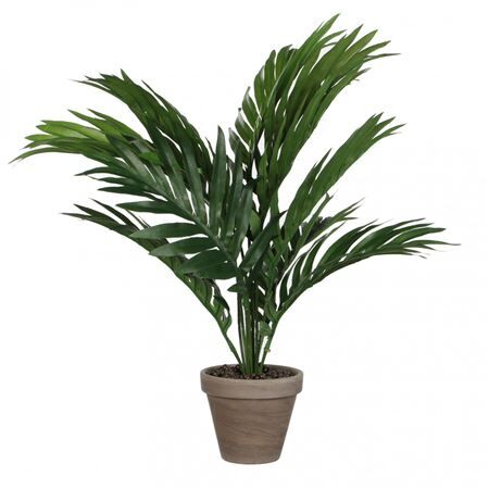 Areca palm en pot d11/60*45cm