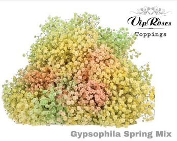 Gyps Pa Spring Mix