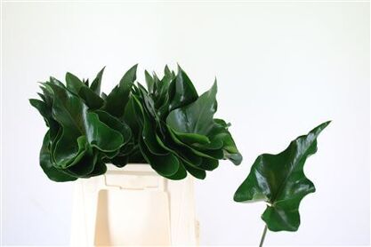Anth Heart Blad Ø 20cm