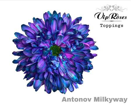 Chr G Antonov Milky Way