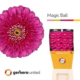 Ge Gb Magic Ball Diamond