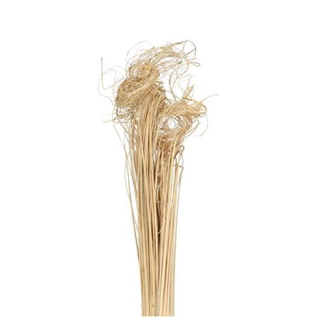 Curly TingTing 70cm 200g