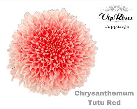 Chr G Tutu Red