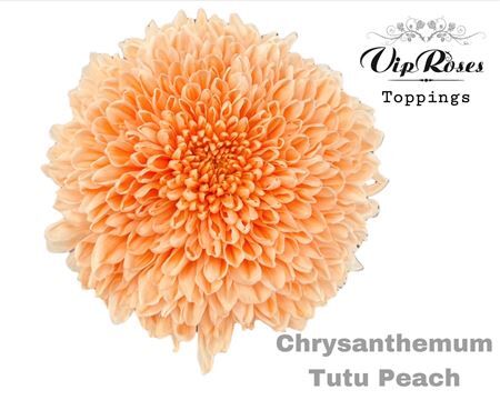 Chr G Tutu Peach