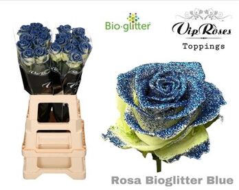 R Gr Bio Glitter Blue X20