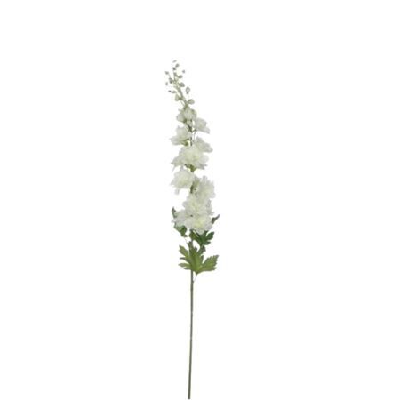 Delphinium  78cm