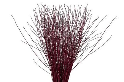 Berk 70cm Cerise Bunch
