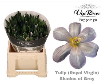 Tu En Rv Shades Of Grey