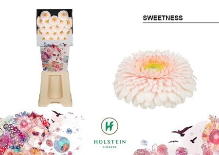 Ge Mb Gerponi Sweetness Diamond X80