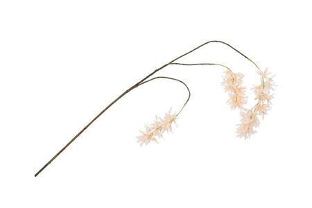 Silk Wisteria Champagne 93cm Nm