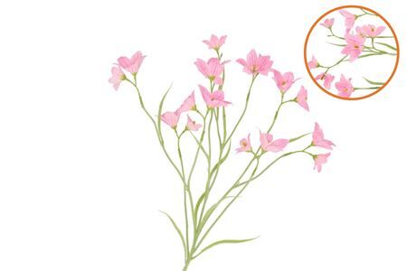 Silk Lucky Clover Pink 99cm Nm