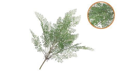 Silk Fern Maiden Hair Branch Green Snowy 76cm Nm