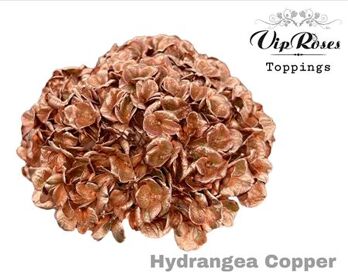 Hydr M Copper L80cm