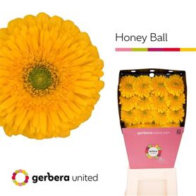 Ge Gb Honey Ball Diamond