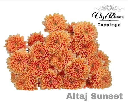 Chr T Altaj Sunset