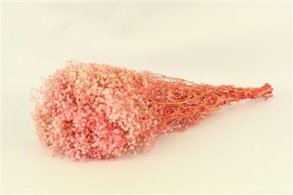 Pres Gypsophila Pink Bunch Slv
