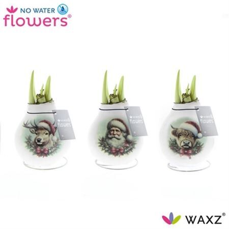 Arr4 Amaryllis Vh - Craftz - Santa & Friends