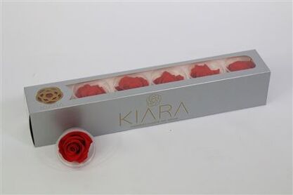 Rosa Preserved Vibrant Red