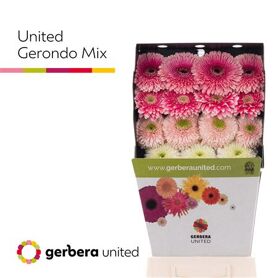 Ge Gb Pom Gemengd Diamond