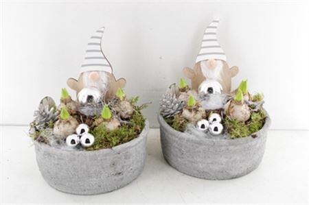 Arr4 Hyacint Vv5001 - Beton Schaal Large