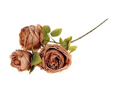 Branch Rosa Gallica L70