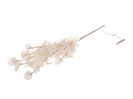 Stem Euca Cinerea Led L72