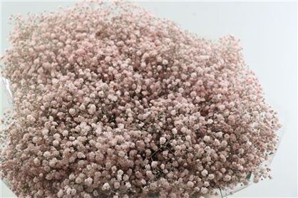 Gyps Grof Soft Pink (dip)