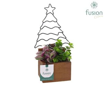Arr Planter Hout Kerst Met Verlichting