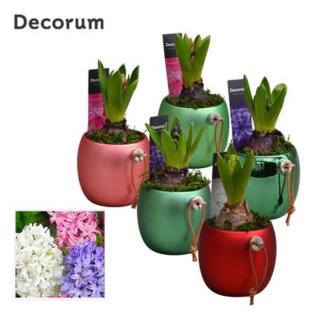 Hya A Hl15322 Kerstbal