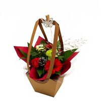 Aqua-bulle Liza Rood