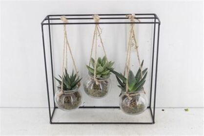 Arr2 Mb Metaal Rek Hang Trio 3