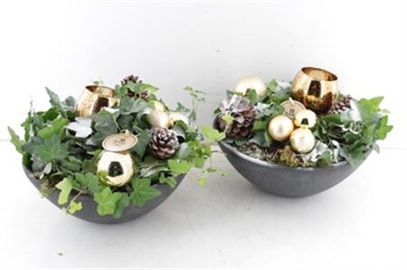 Arr1 Hedera Pl - Ebbi Schaal Goud