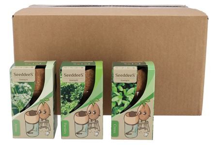Greengift Cress Parsley Anis Mix Corkwick 8x13cm
