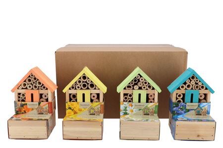 Greengift Daisy Corn Daisy Poppy Corn Hotel 10x18c