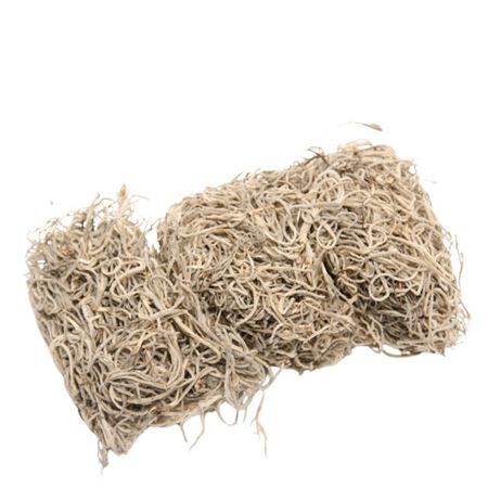 Tillandsia moss 80g