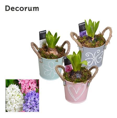 Hya Hl10770 Bucket Mini