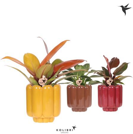 Phil Gemengd Keramiek Retro