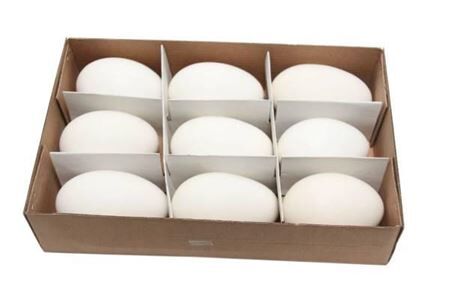 Egg Goose 9 Pcs