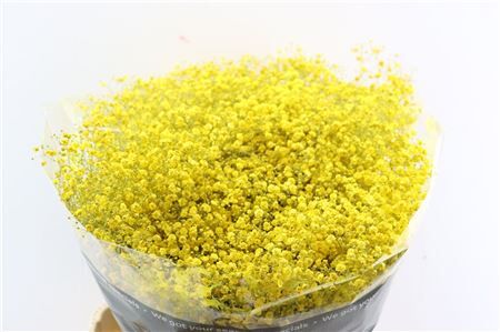 Gyps Grof Geel (dip)