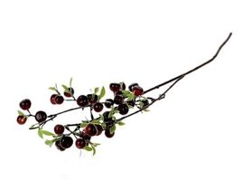 Stem Apple Berry L76