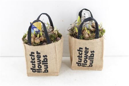 Arr4 Bollenmix Mb227 - Bag Dutch Fl