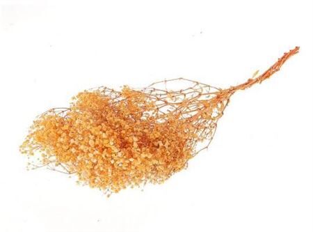 Bunch Gypsophila Pres.100gr L70