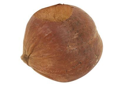 Planter Coconut Retro D18