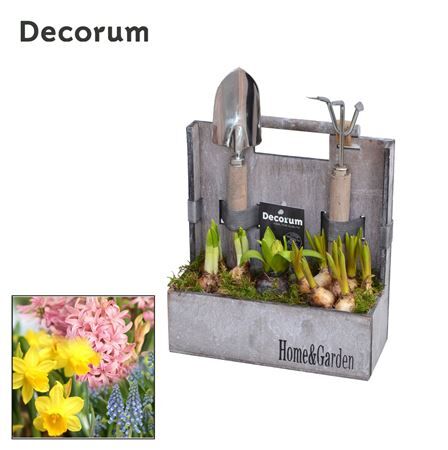 Bolbloemen Gemengd Hl11293b Hout Garden Tools