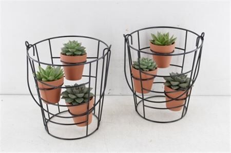 Arr2 Pl Metaal Planter Maxine - Succulent