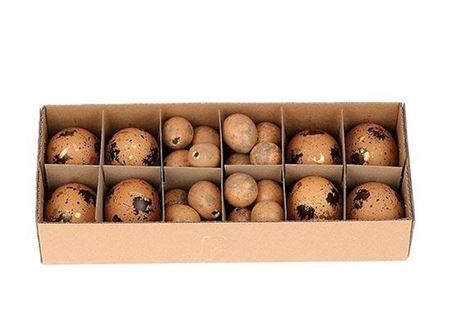 Egg Combi 8 Chicken 24 Quail L28w11h7