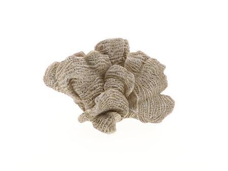 Coral Ocean L17w10.5h10.5