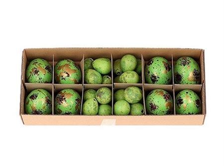 Egg Combi 8 Chicken 24 Quail L28w11h7