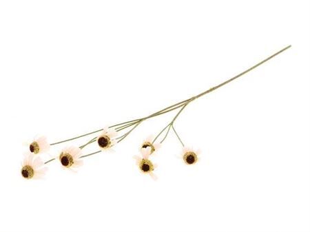 Stem Rudbeckia L87w10h5